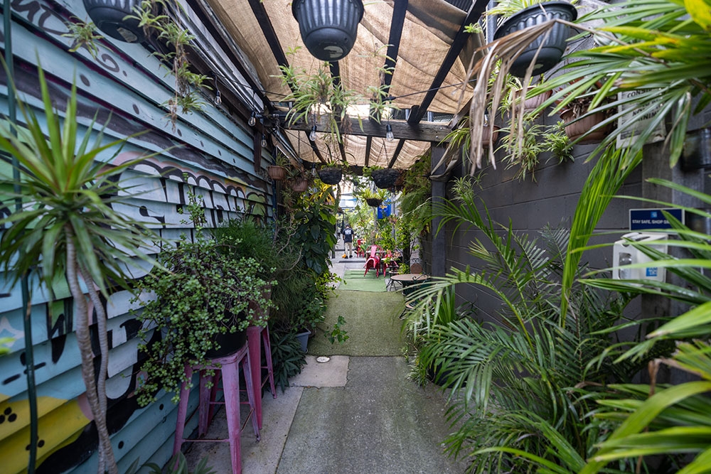 Back garden at Shady Palms