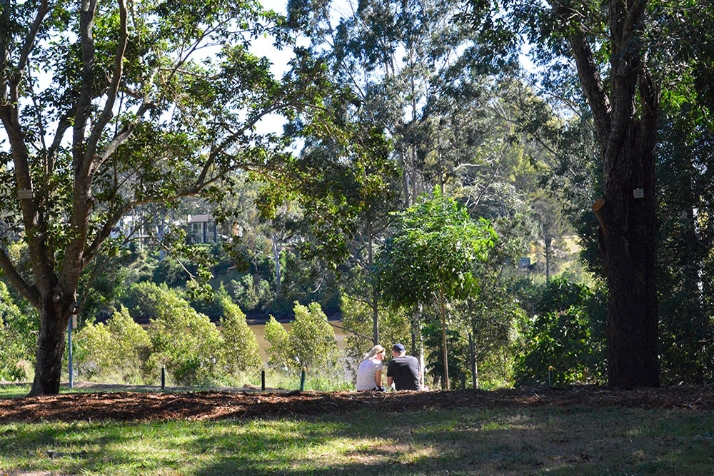 Sherwood Arboretum, Best Picnic Spots in Brisbane
