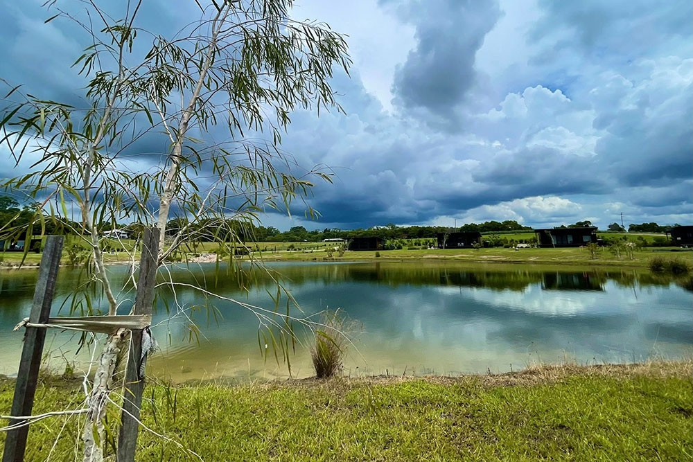 Farm view at Sixty6 Acres Woombye