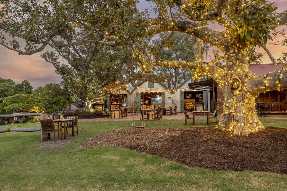 Tree surrounded by fairy lights at Spicers Hidden Vale, Grandchester 
