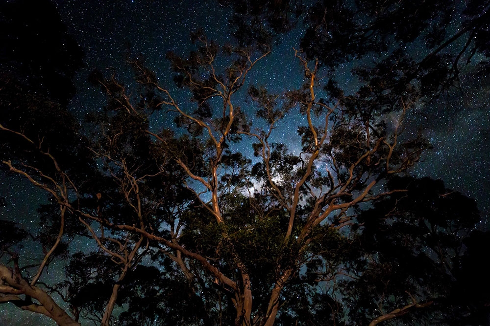 Mystic Mountain Tours’ Night Sky Journey:  Astronomy Tour