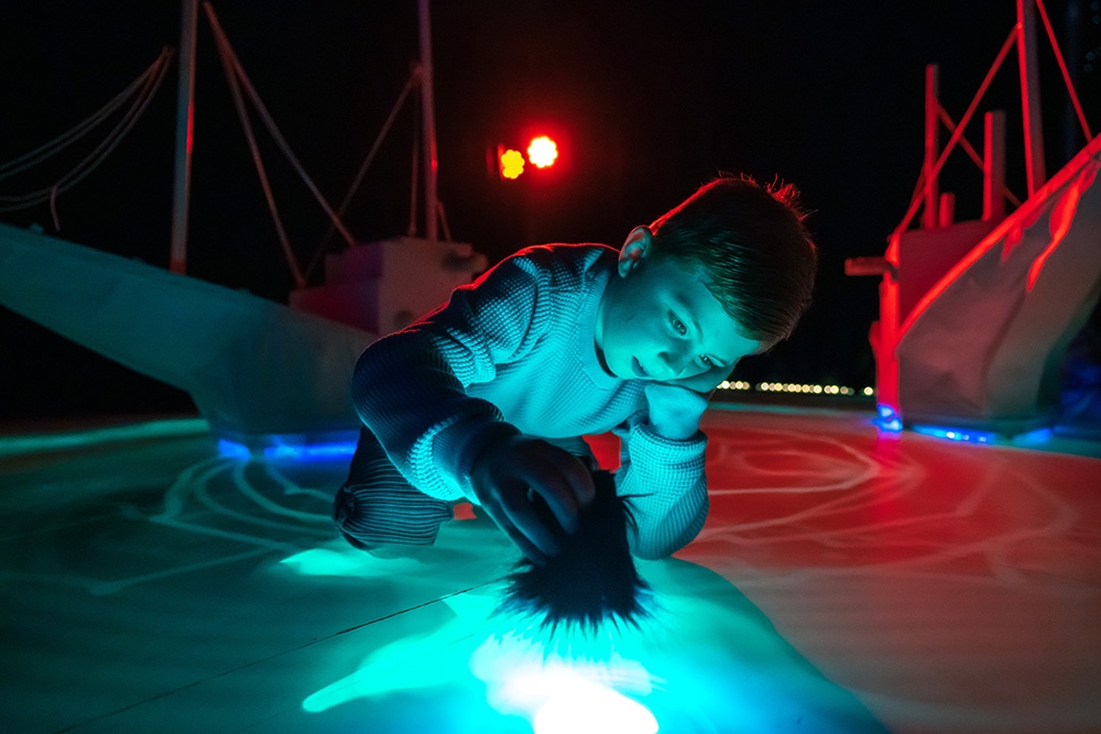 Child looking at sea creature