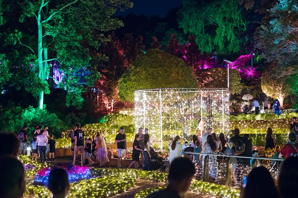 People on lit up path at The Enchanted Garden