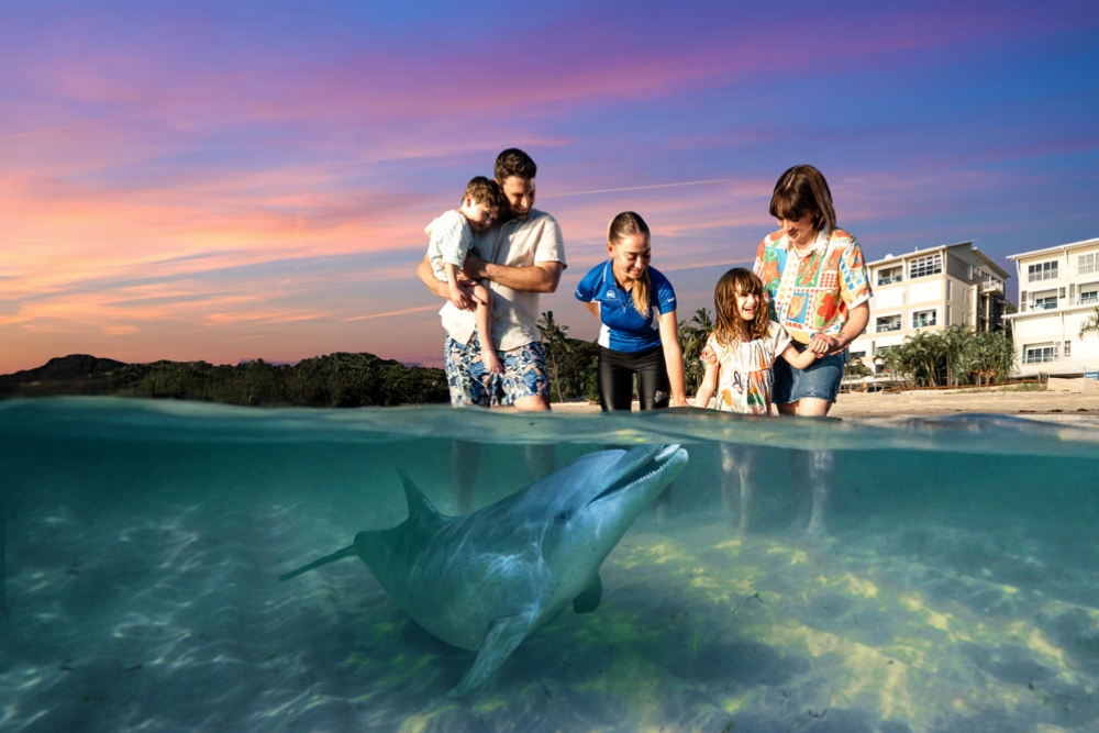 A family feeding the dolphins at Tangalooma Island Resort