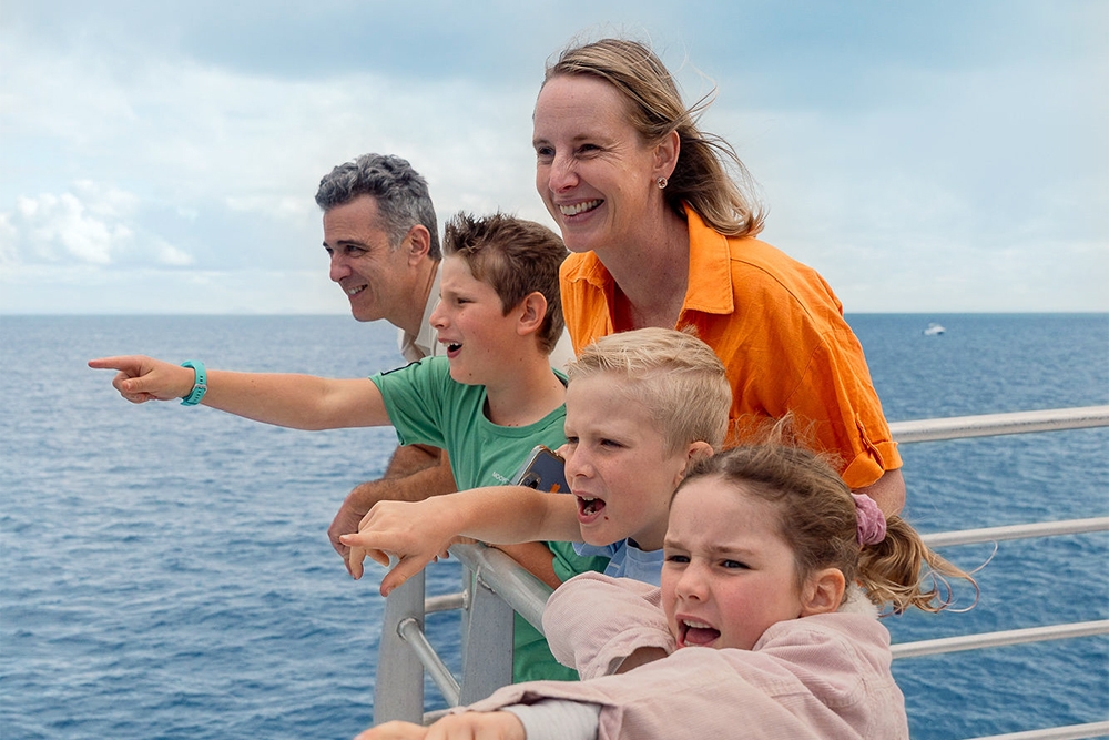 Whale Watching Tangalooma Island Resort