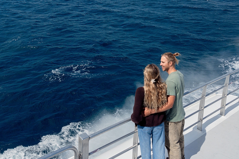Whale Watching Tangalooma Island Resort