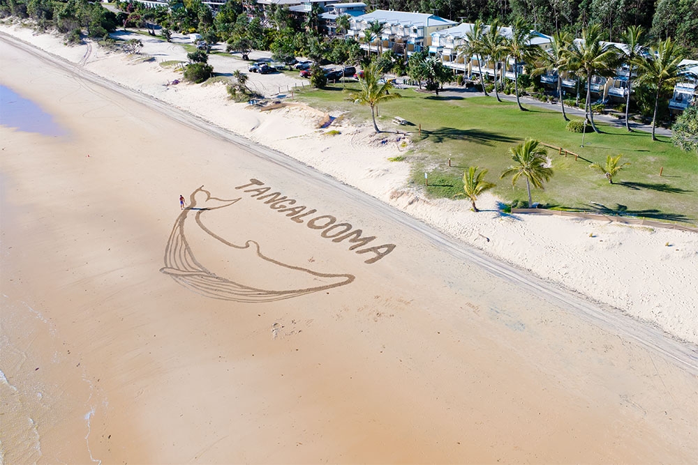 Sand Art Tangalooma Island Resort 