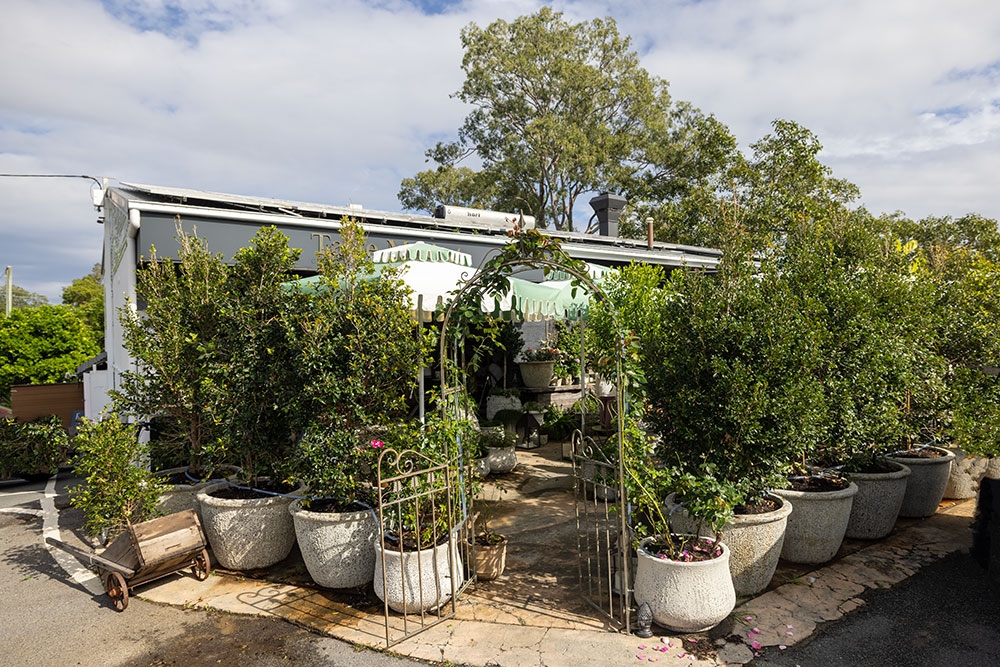 Entrance to Tarte Tea Garden Currumbin