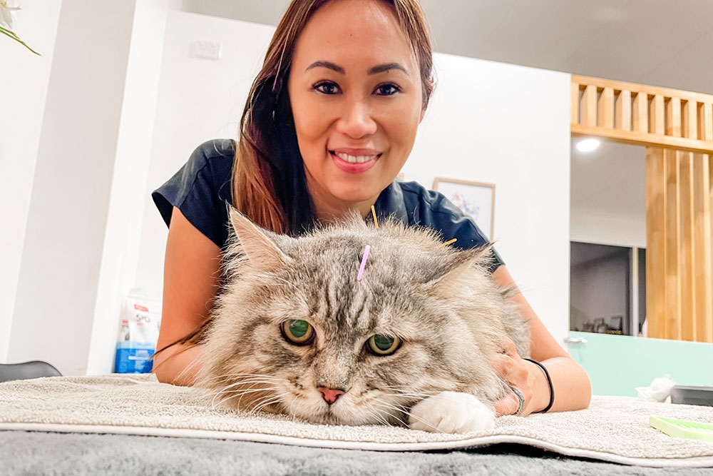 The Acupuncture Vet, Paddington 