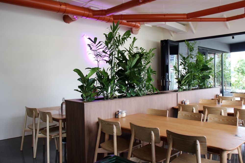 The Smug Fig, Greenslopes