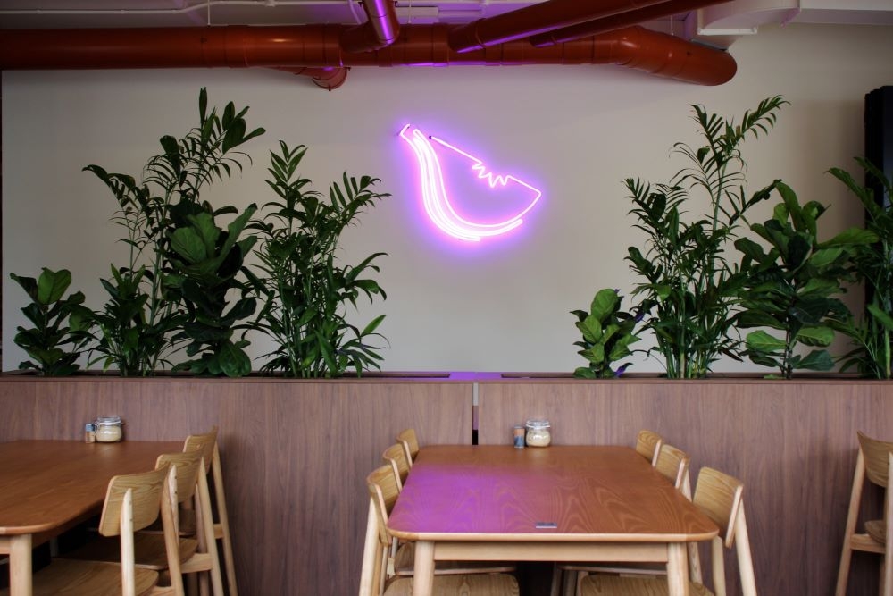The Smug Fig, Greenslopes