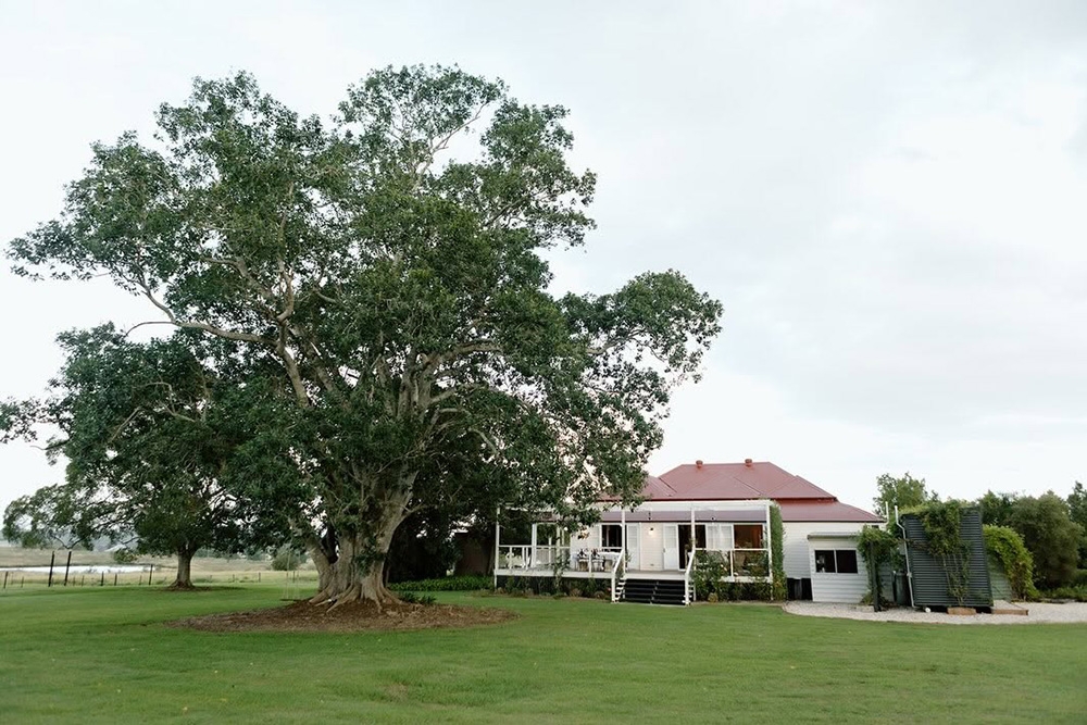 Linning's House