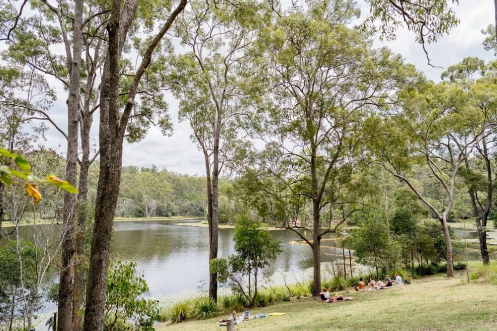  Enoggera Dam at Walkabout Creek