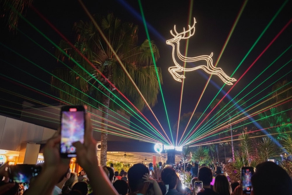 Reindeer laser light show 