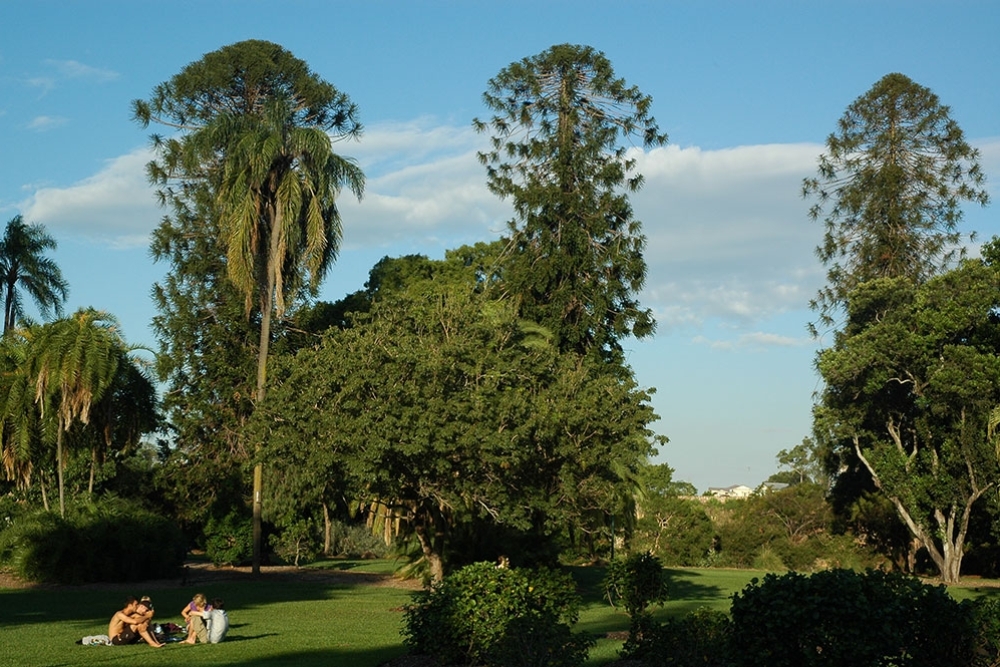 Botanical Gardens, Best Picnic Spots in Brisbane