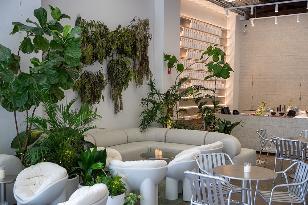 Chairs and plants inside BY. Artisans
