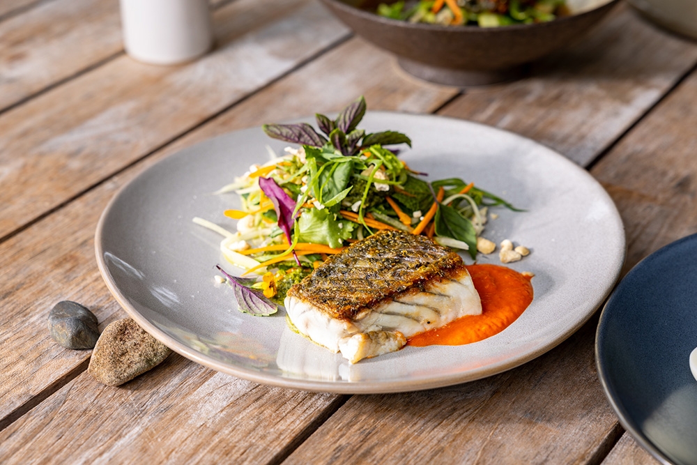 Barramundi meal