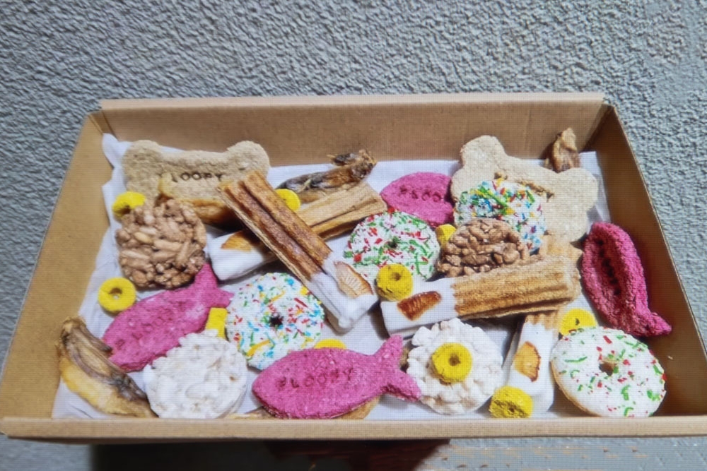 barkday box Floofy's Patisserie Paddington