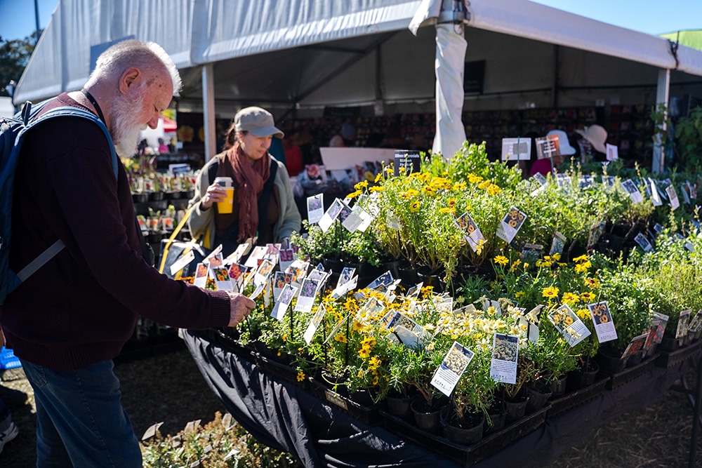 Man looking at flowers