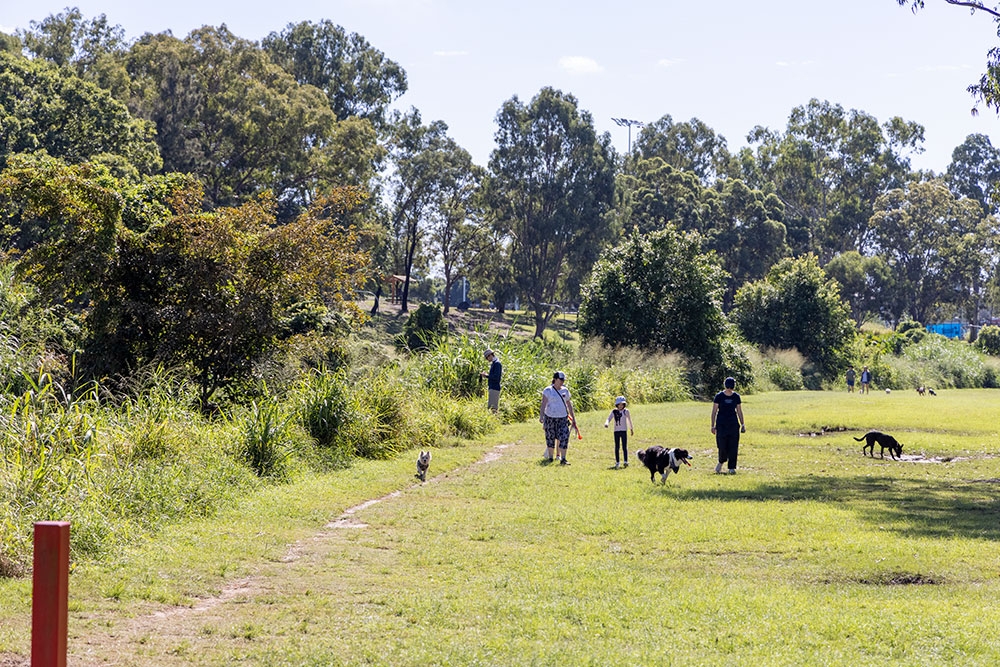 Kedron Brook Off-Leash Dog Park