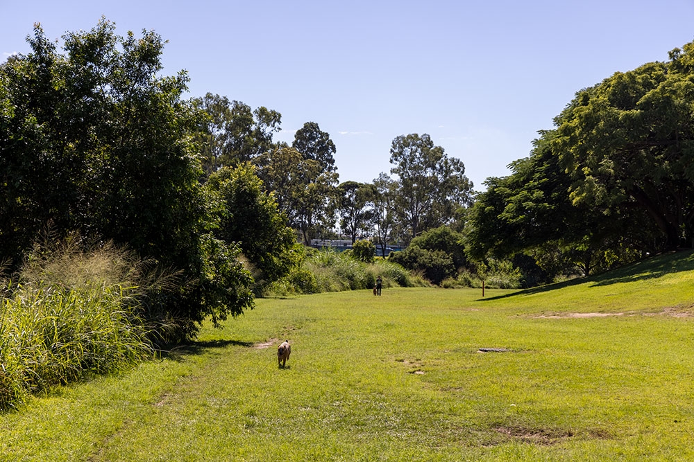 Kedron Brook Dog park