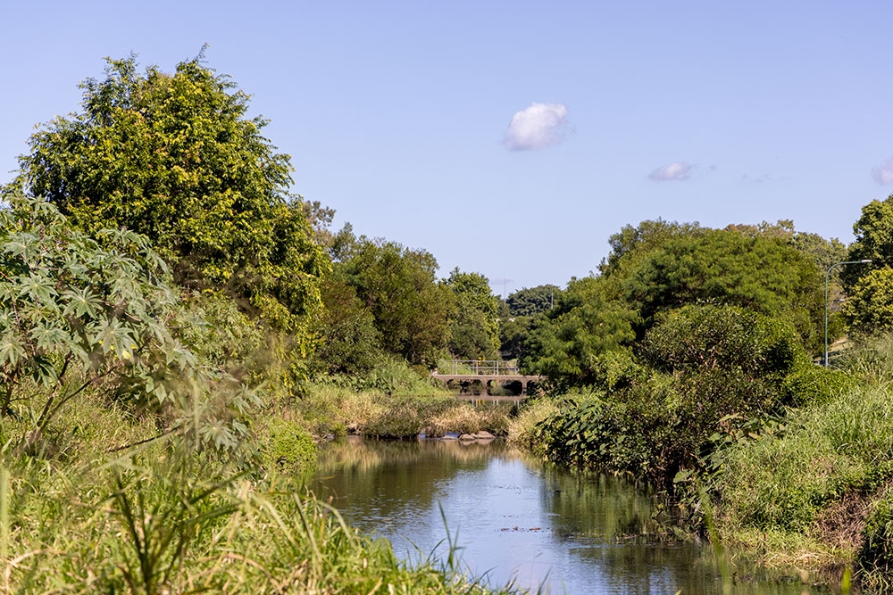 Kedron Brook Off-Leash Dog Park