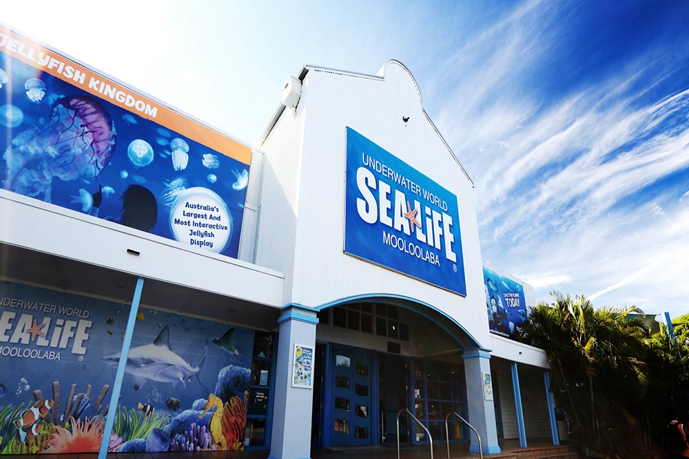 Sealife Under water world
