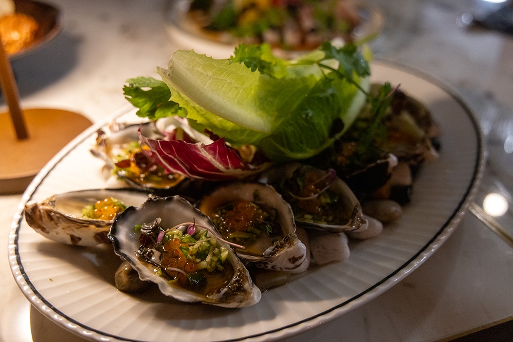 Oysters