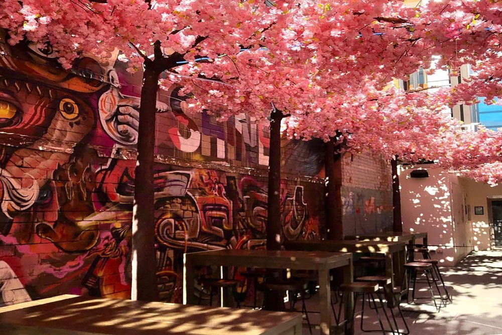 Bey lane Cafe Fortitude Valley