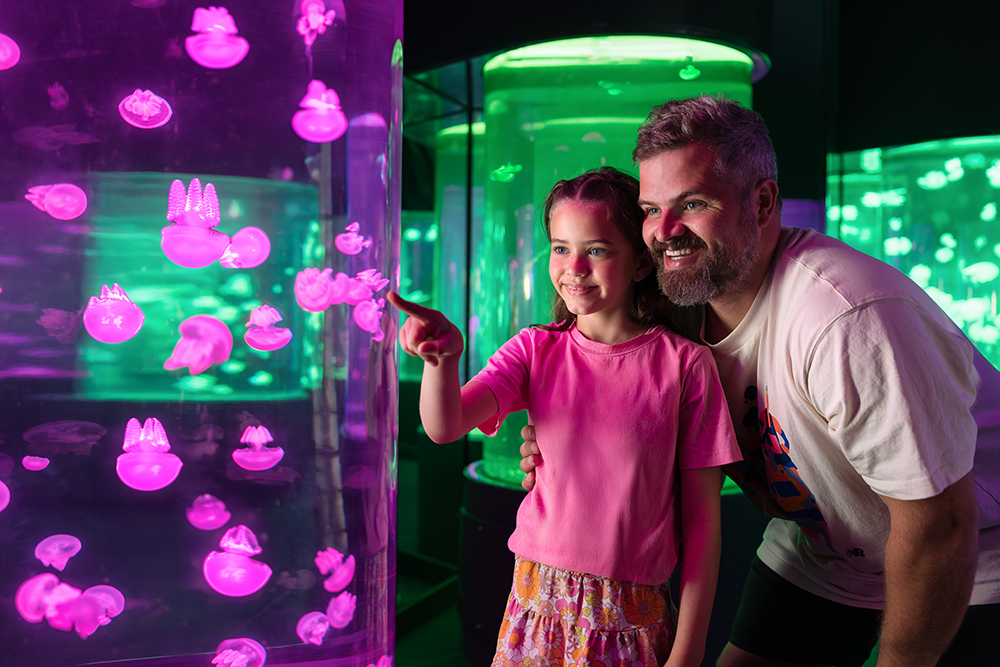 School Holidays at Village Roadshow Theme Parks