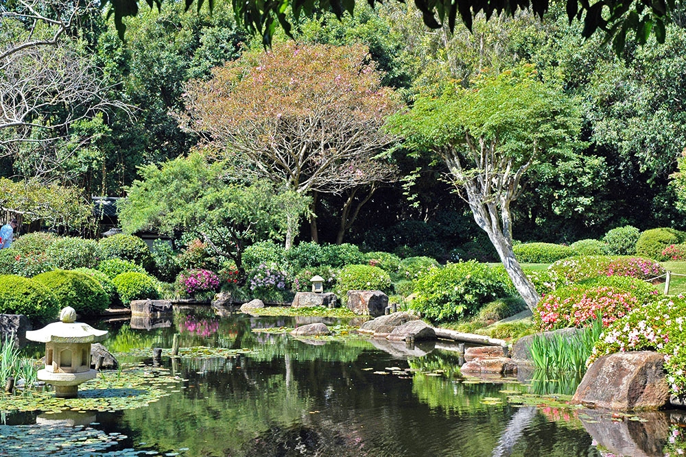 Japanese Gardens, Mt Coot-tha Botanic Gardens, Brisbane