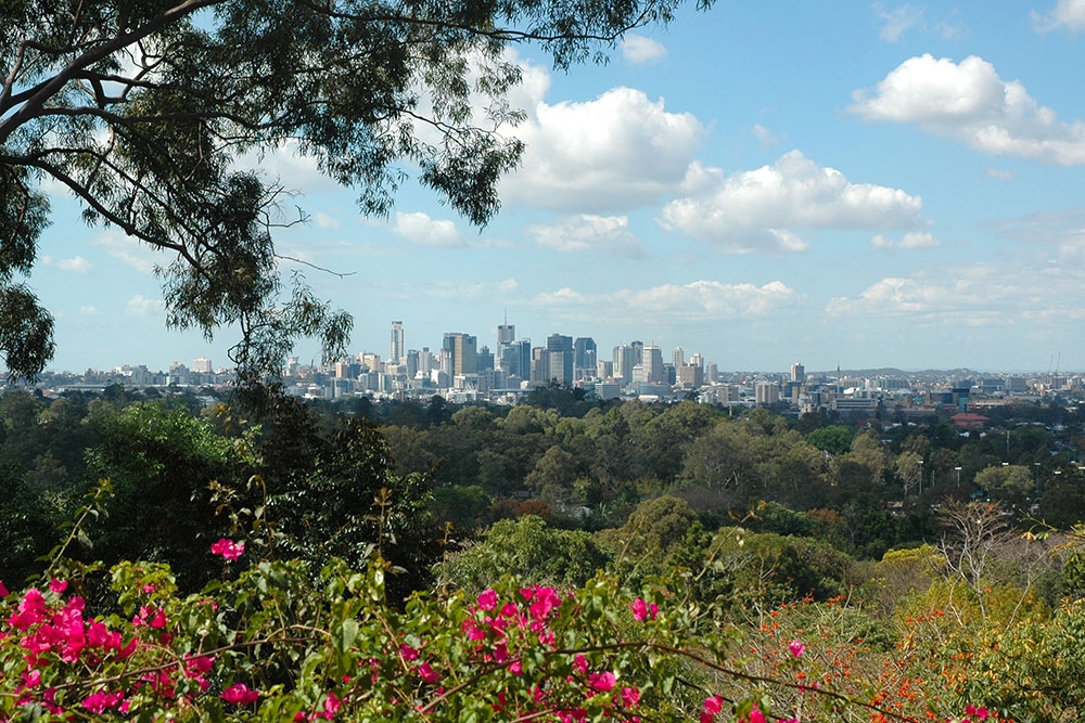Mt Coo-tha Botanical Gardens views of Brisbane's cbd