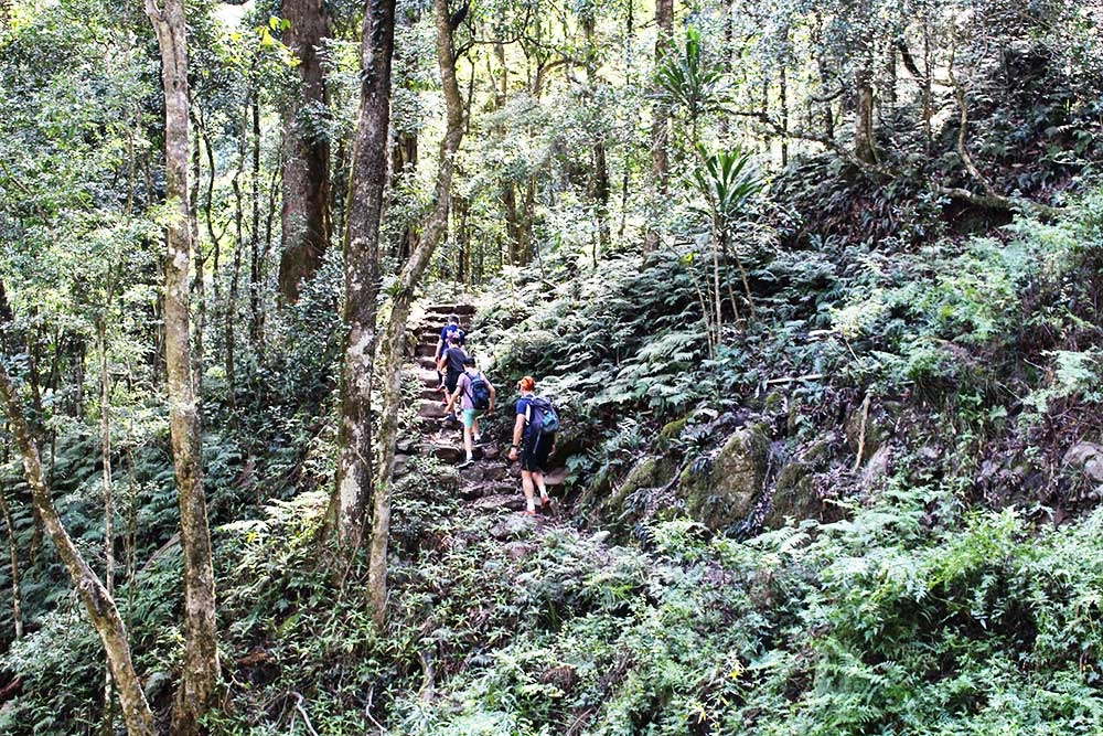 Mt Cordeaux, Cunningham's Gap, Scenic Rim