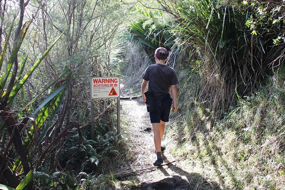 Mt Cordeaux, Cunningham's Gap, Scenic Rim