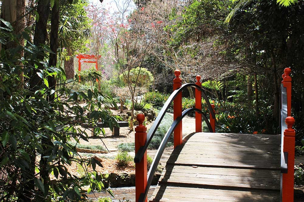 Tamborine Mountain Botanic Gardens Eagle Heights | Must Do Brisbane