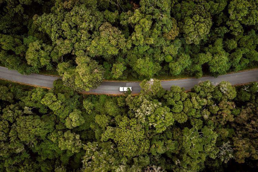Bunya Mountain aerial shot