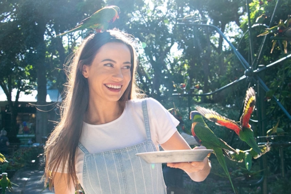 Currumbin Wildlife Sanctuary