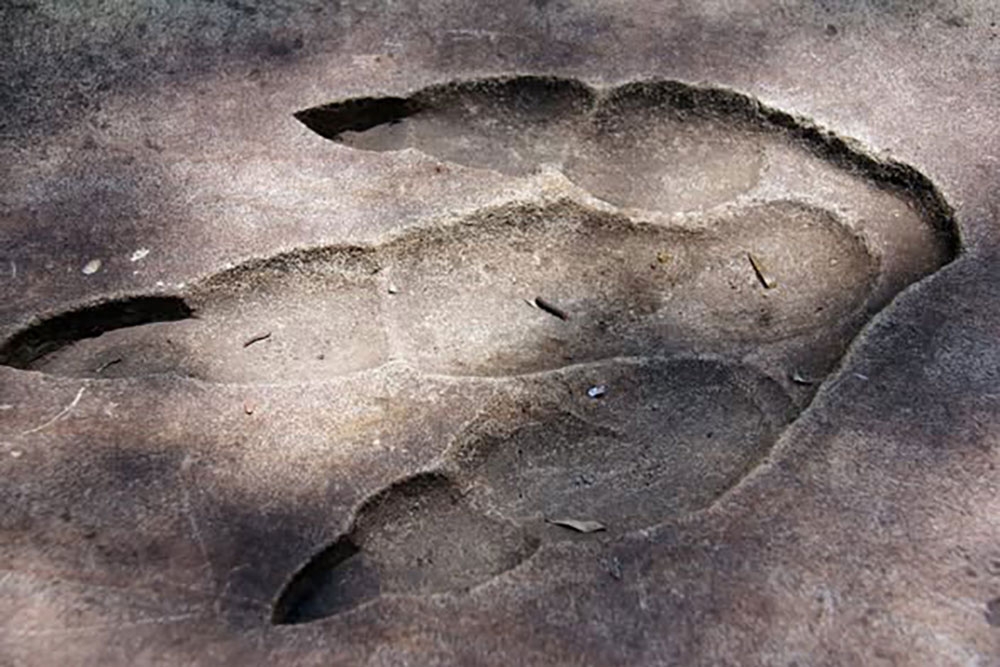 Triassic footprint Denmark Hill