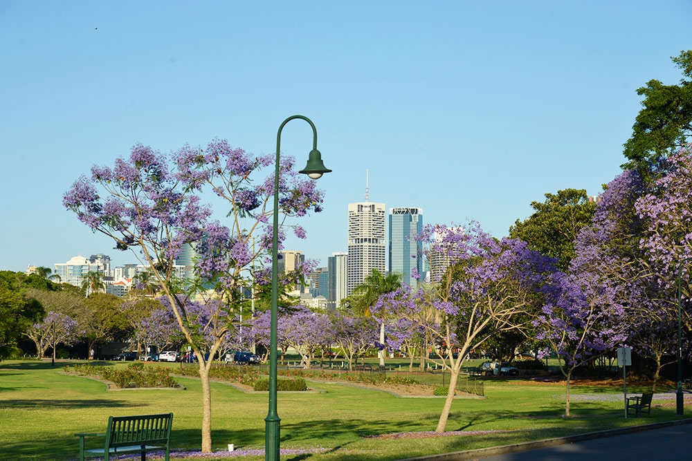 New Farm Park