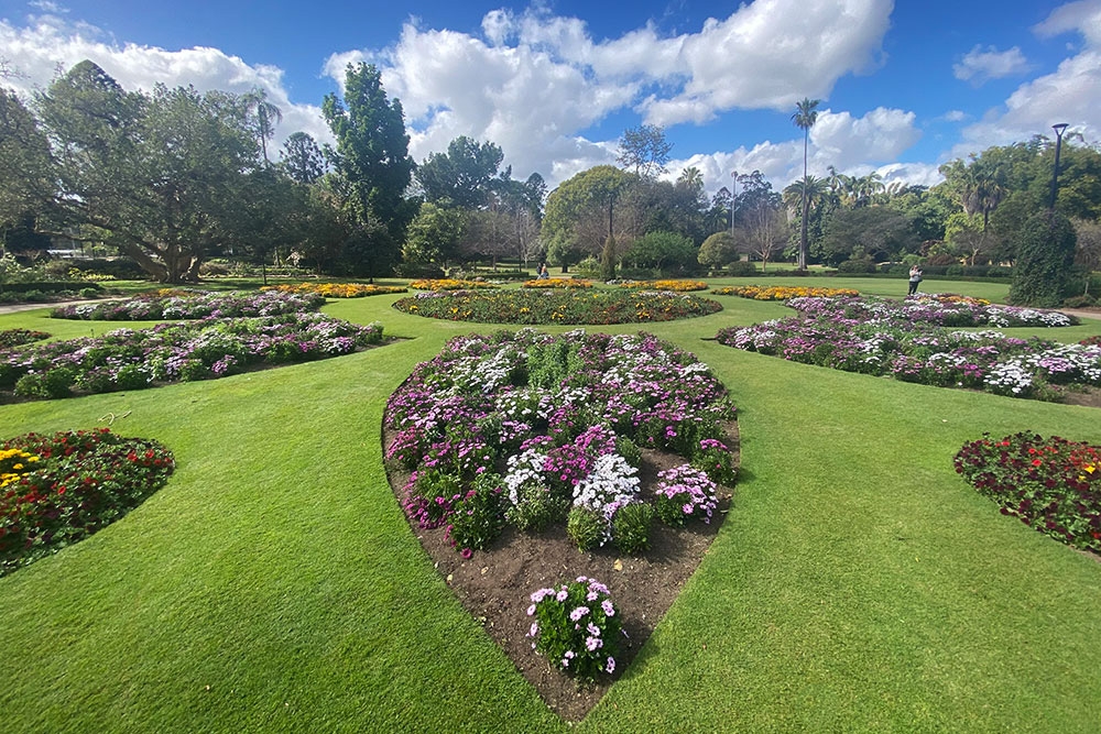 Walk near river inside the Brisbane Botanic Gardens, CBD