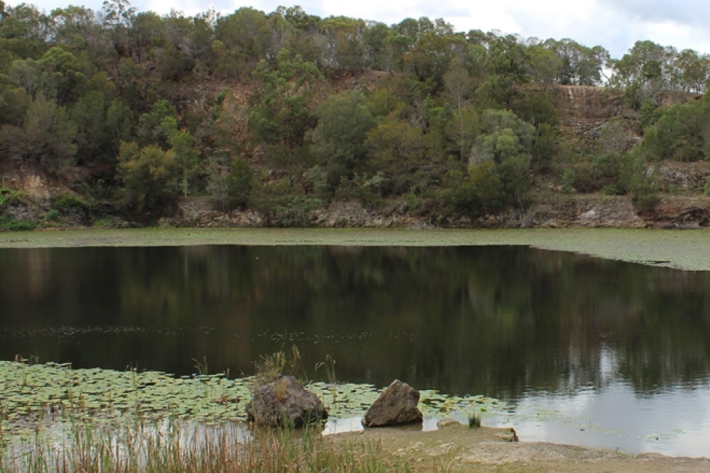 The Old Quarry Daisy Hill is