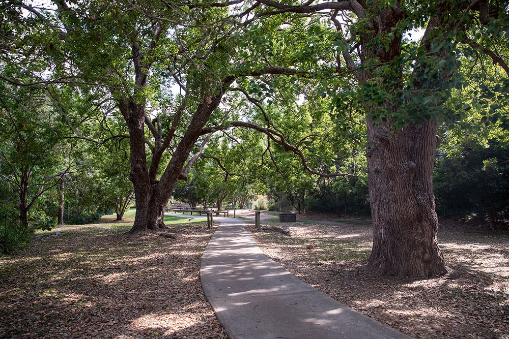 Red Hill Newmarket Walk