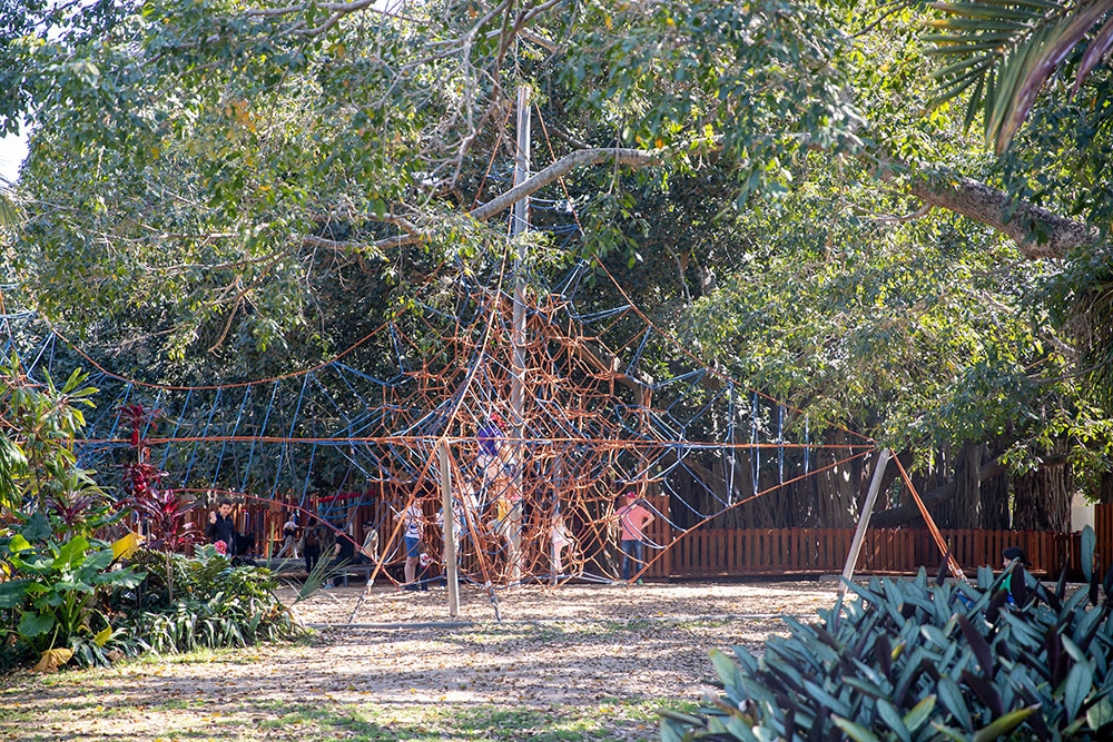 New Farm Park