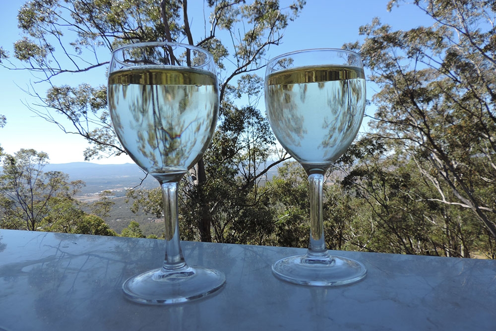 Picnic Point Cafe and Restaurant Toowoomba's glasses of wine overlooking gum trees and view