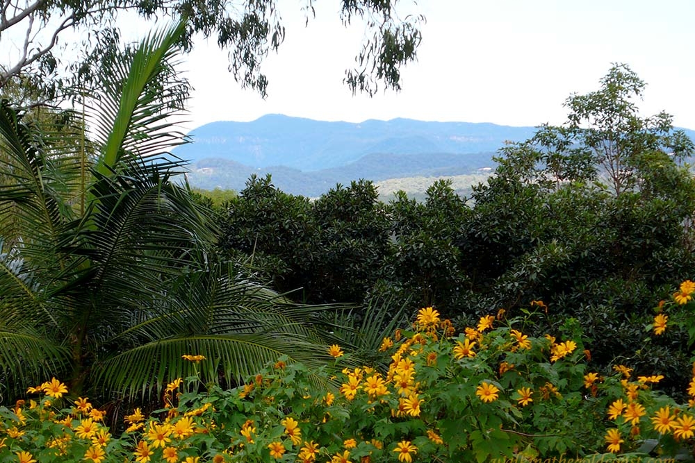 Burleigh Ridge National park