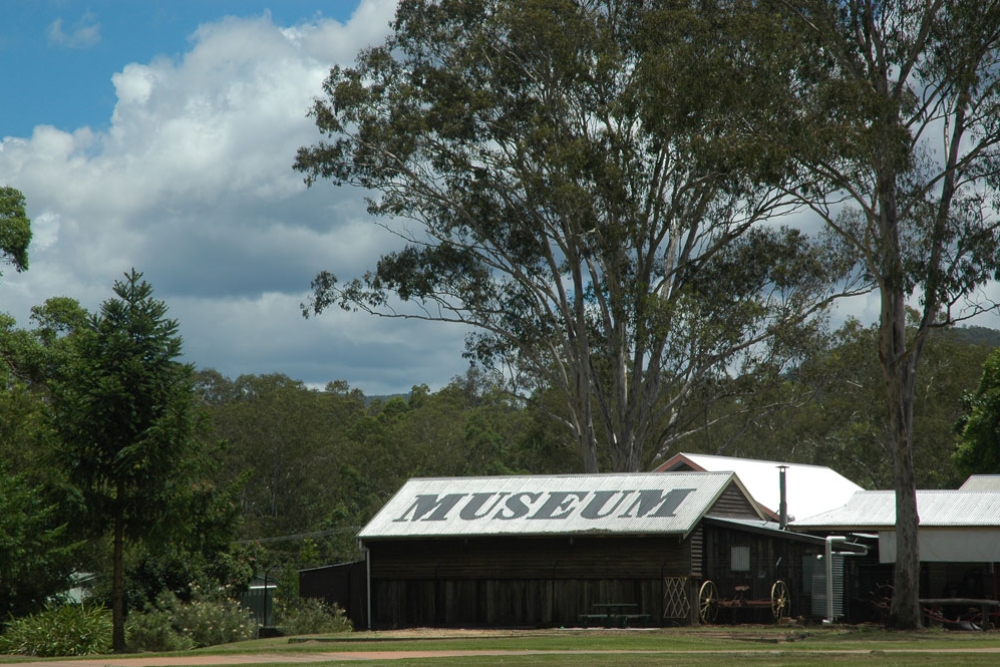 Samford Museum's tin roof next to large gum tree