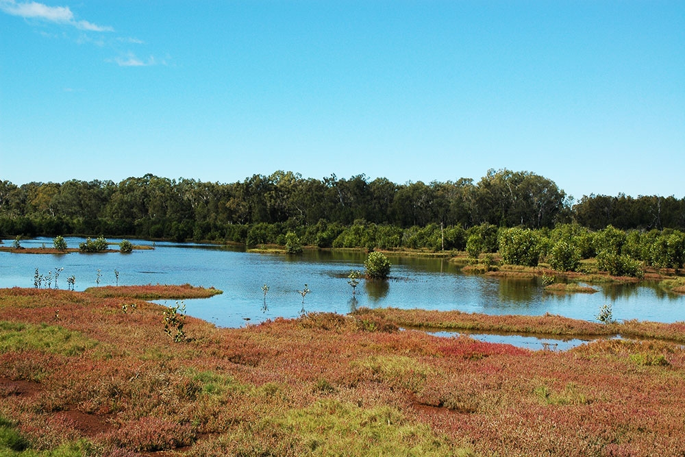 Tinchi Tamba wetlands Deagon