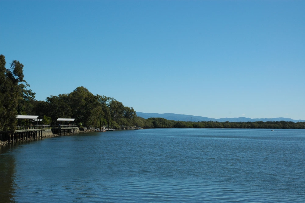 Creek and bush in Tinchi Tamba Wetlands in Bald Hills