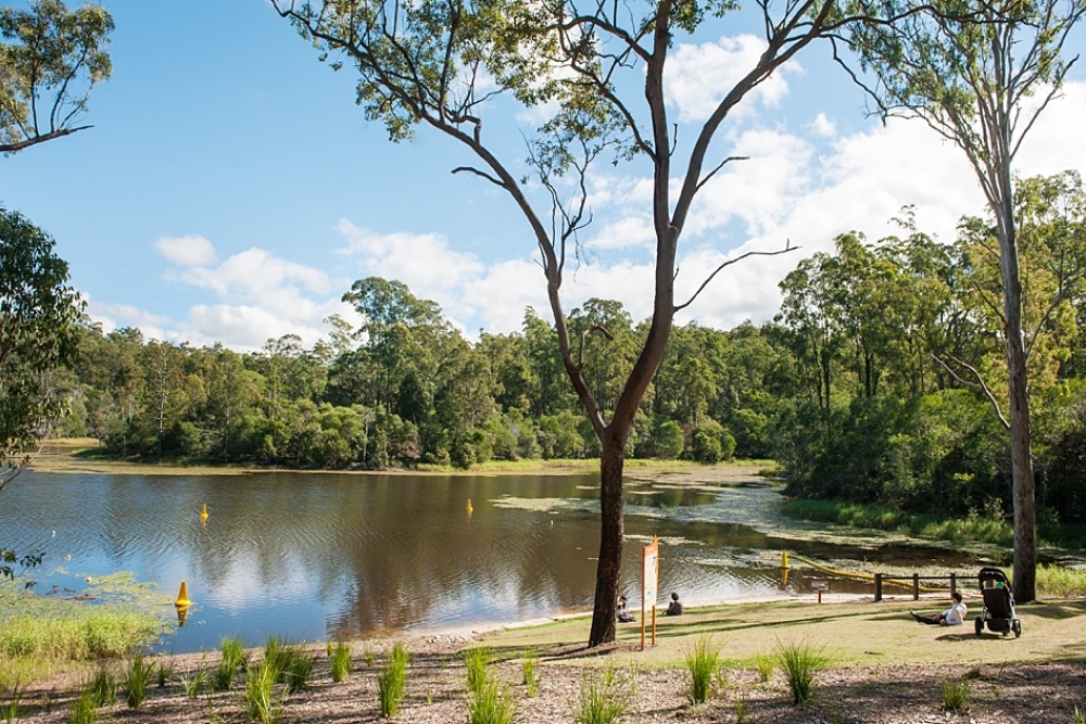 View of dam at Walkabout Creek