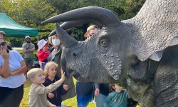 DinoFest Brisbane